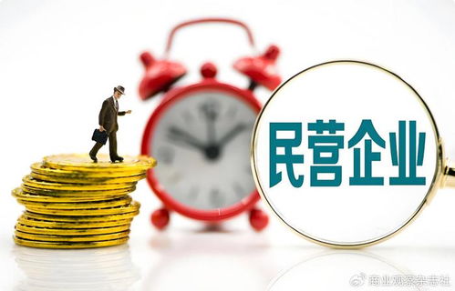 當民營企業遇見世界500強 以企業自有資金共繪“投資中國，共贏未來”新藍圖